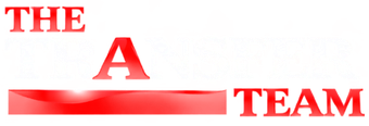 The Transfer Team